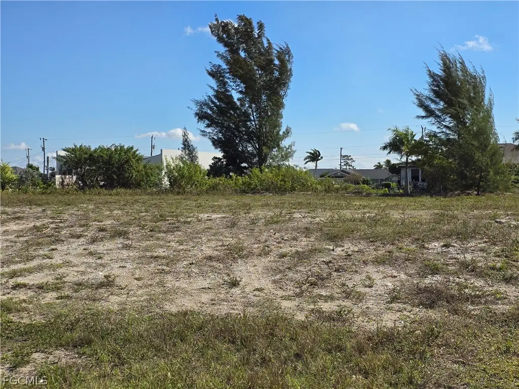117 NW 14th Avenue, Cape Coral, FL 33993 - #1