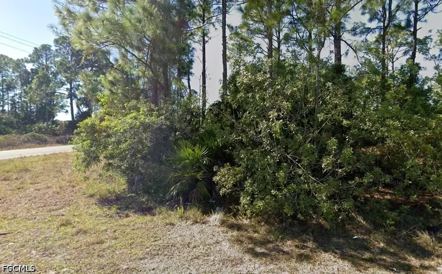 1112 Gunby Avenue S, Lehigh Acres, FL 33974 - #3