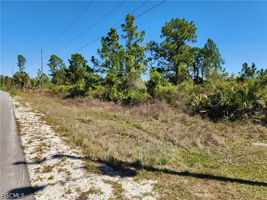 1015 Elgin Street, Lehigh Acres, FL 33974 - #3