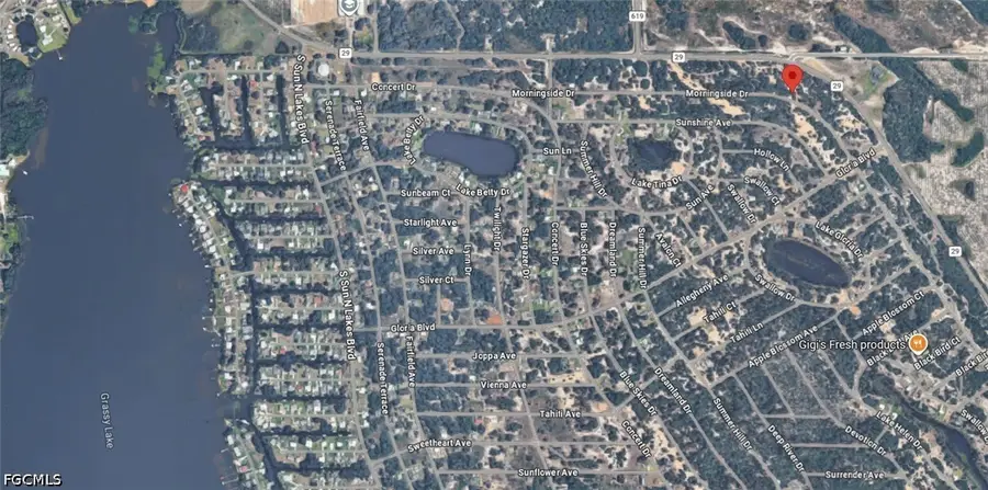 456 Morningside Drive, Lake Placid, FL 33852 - #3