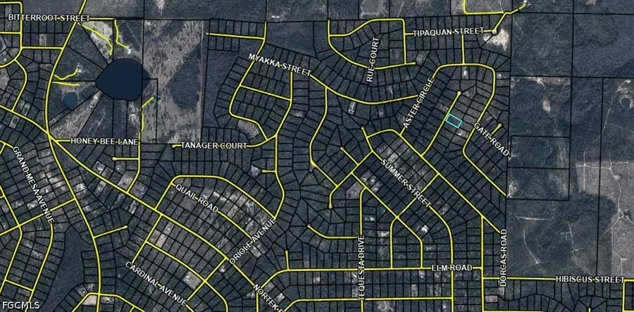 Lilac Court, Marianna, FL 32448 - #2