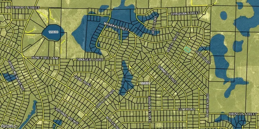 Lilac Court, Marianna, FL 32448 - #3