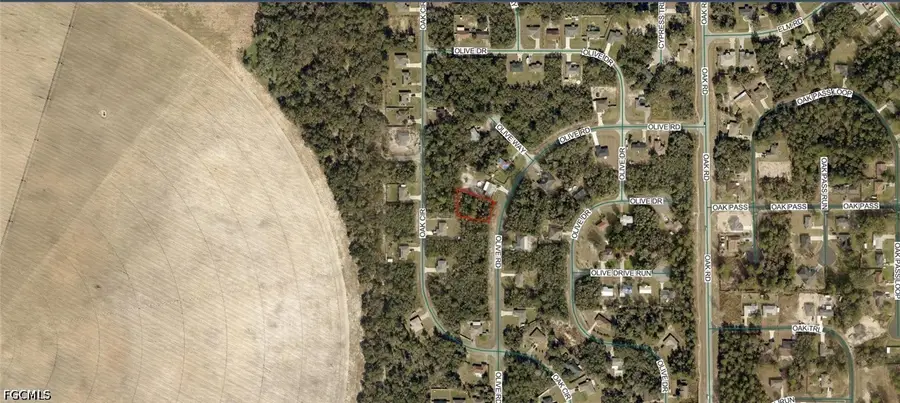 9012-0183-07 Olive Road, Ocala, FL 34472 - #2