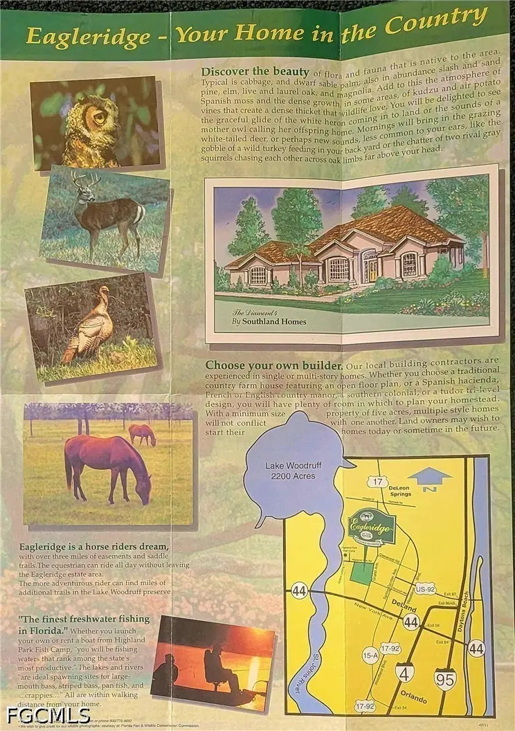 Brightway, Deland, FL 32720 - #1