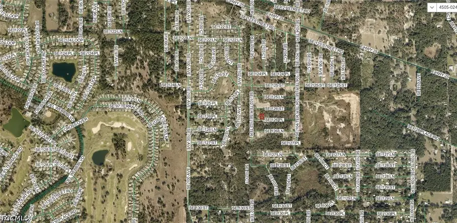 4505-024-024 SE 126 Place, Belleview, FL 34420 - #3