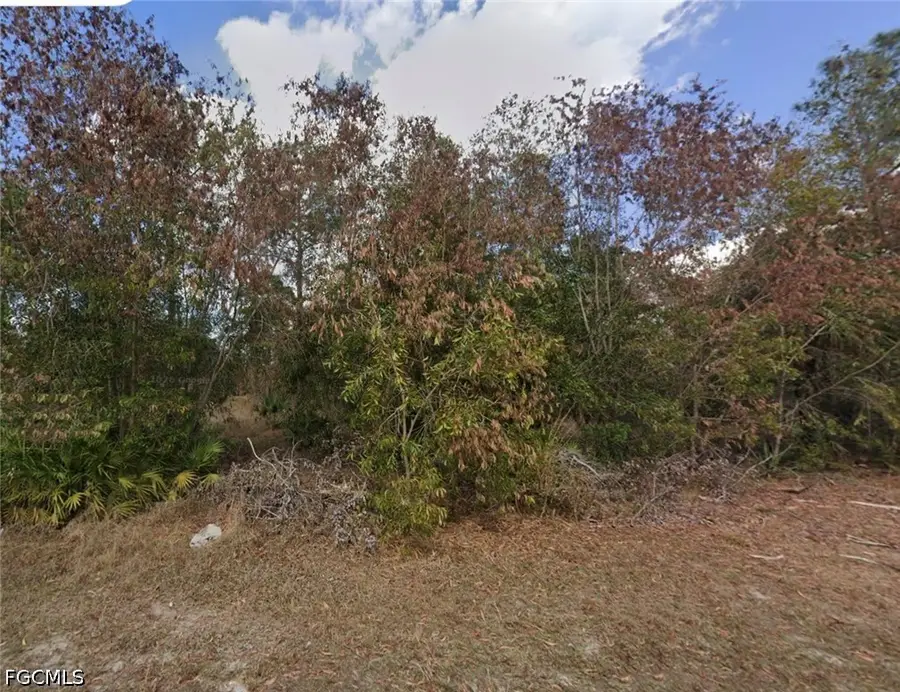 3605 E 3rd Street, Lehigh Acres, FL 33936 - #3