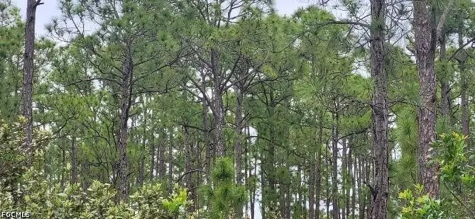 27274 Green Gulf Boulevard, Punta Gorda, FL 33955 - #1