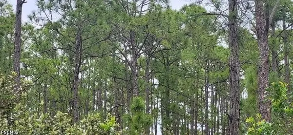 27274 Green Gulf Boulevard, Punta Gorda, FL 33967