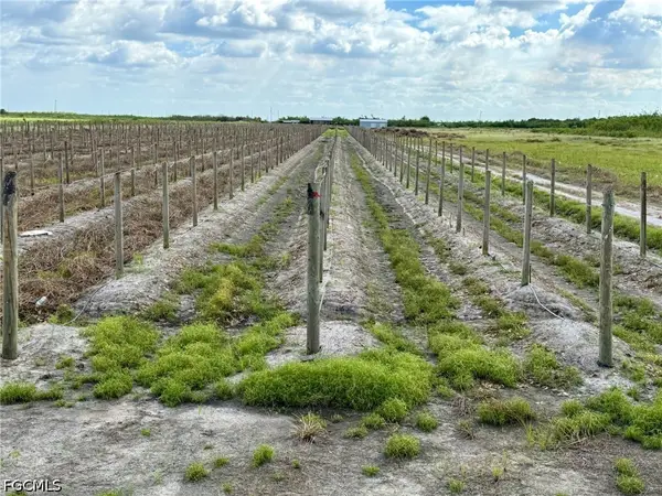 5567 5th Road, Labelle, FL 33935