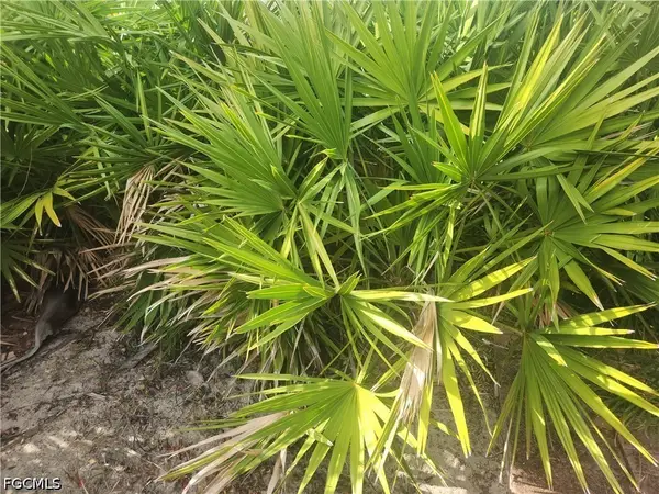 544 Wabasso Avenue S, Lehigh Acres, FL 33974