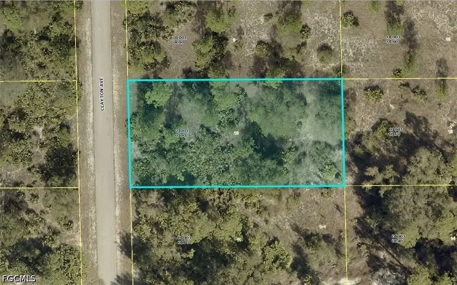 1604 Clayton Avenue, Lehigh Acres, FL 33972 - #2