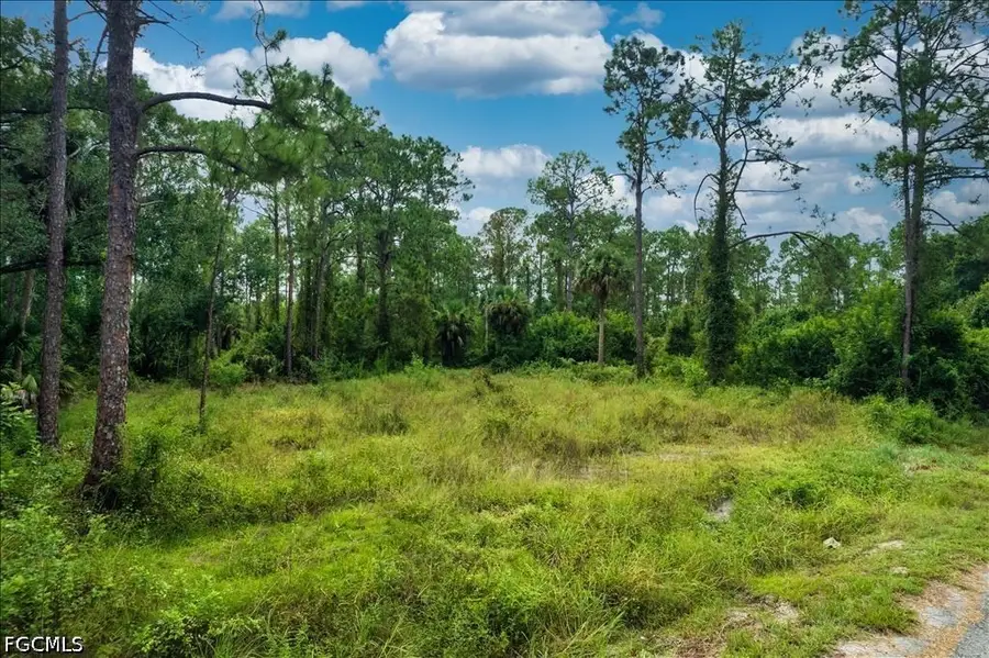 1116 Prospect Avenue, Lehigh Acres, FL 33972 - #3