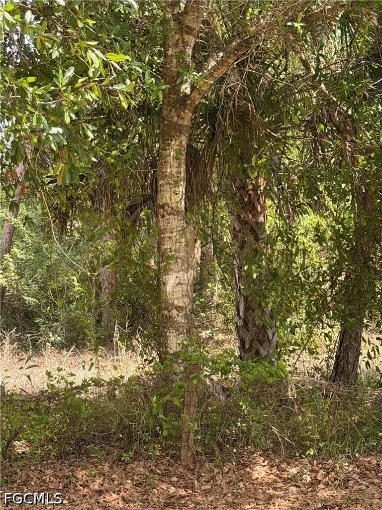 8261 Scarecrow Road, North Fort Myers, FL 33917 - #3