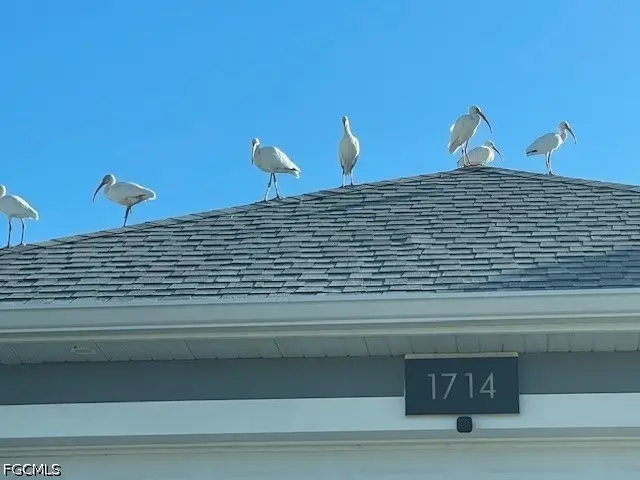 1714 NW 17th Terrace, Cape Coral, FL 33993 - #2