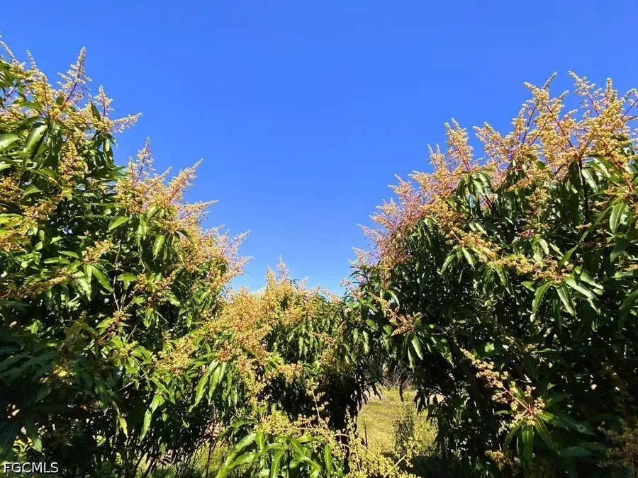 6640 Sunrise Lane, Bokeelia, FL 33922 - #3