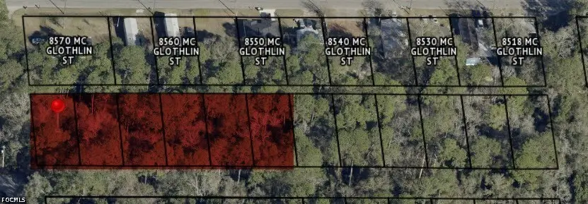 Buttercup Street, Jacksonville, FL 32210 - #3