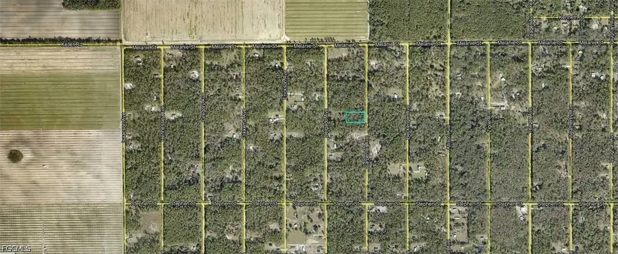 10065 Carpenter Avenue, Hastings, FL 32145 - #3