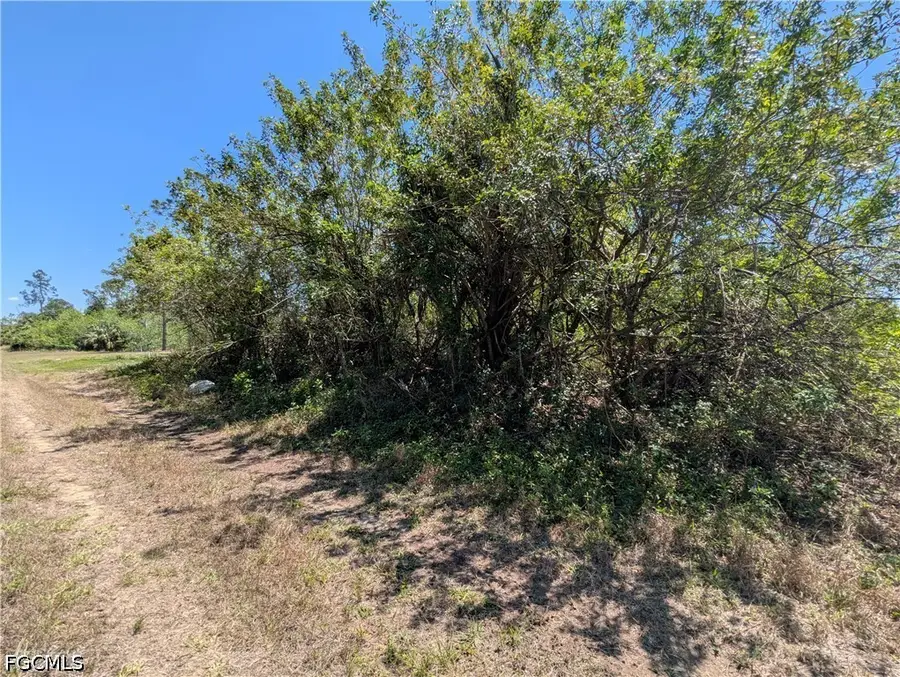 1009 Butler Street E, Lehigh Acres, FL 33974 - #3