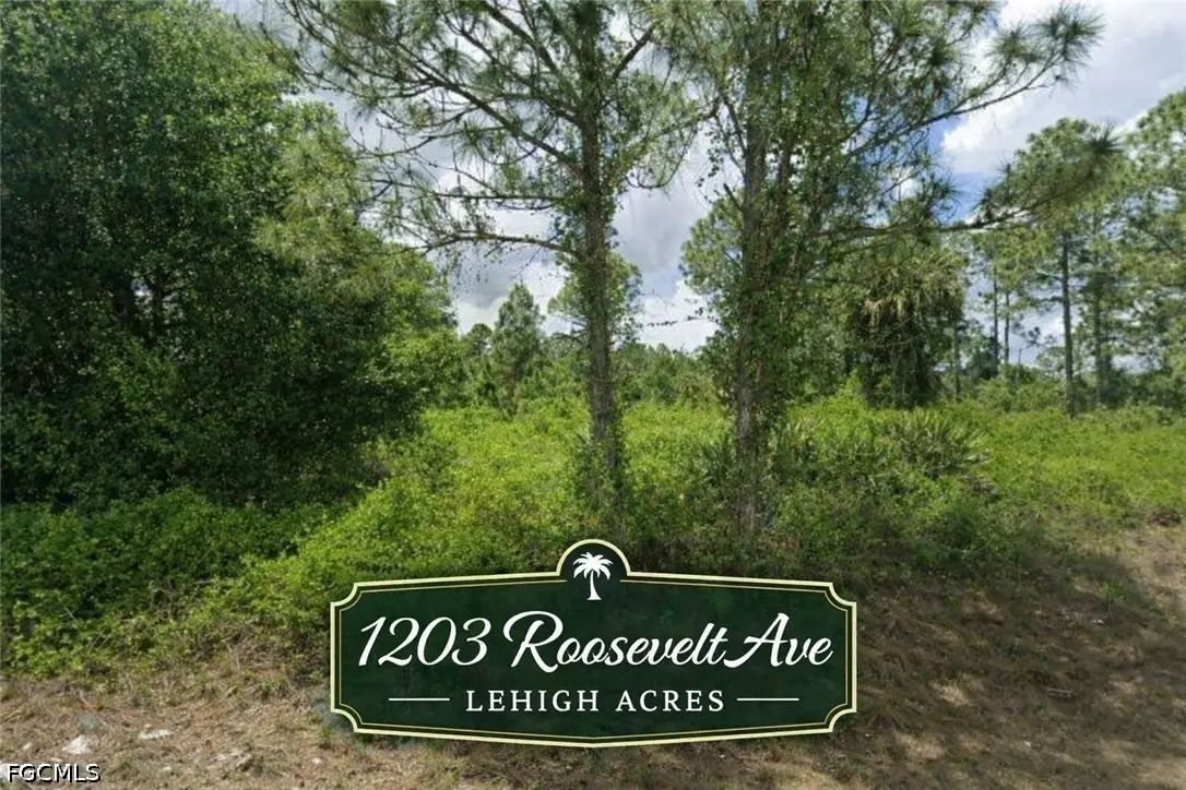 1203 Roosevelt Avenue, Lehigh Acres, FL 33972 - #1