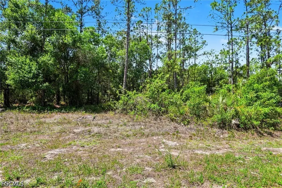 711 Wellington Avenue, Lehigh Acres, FL 33972 - #3