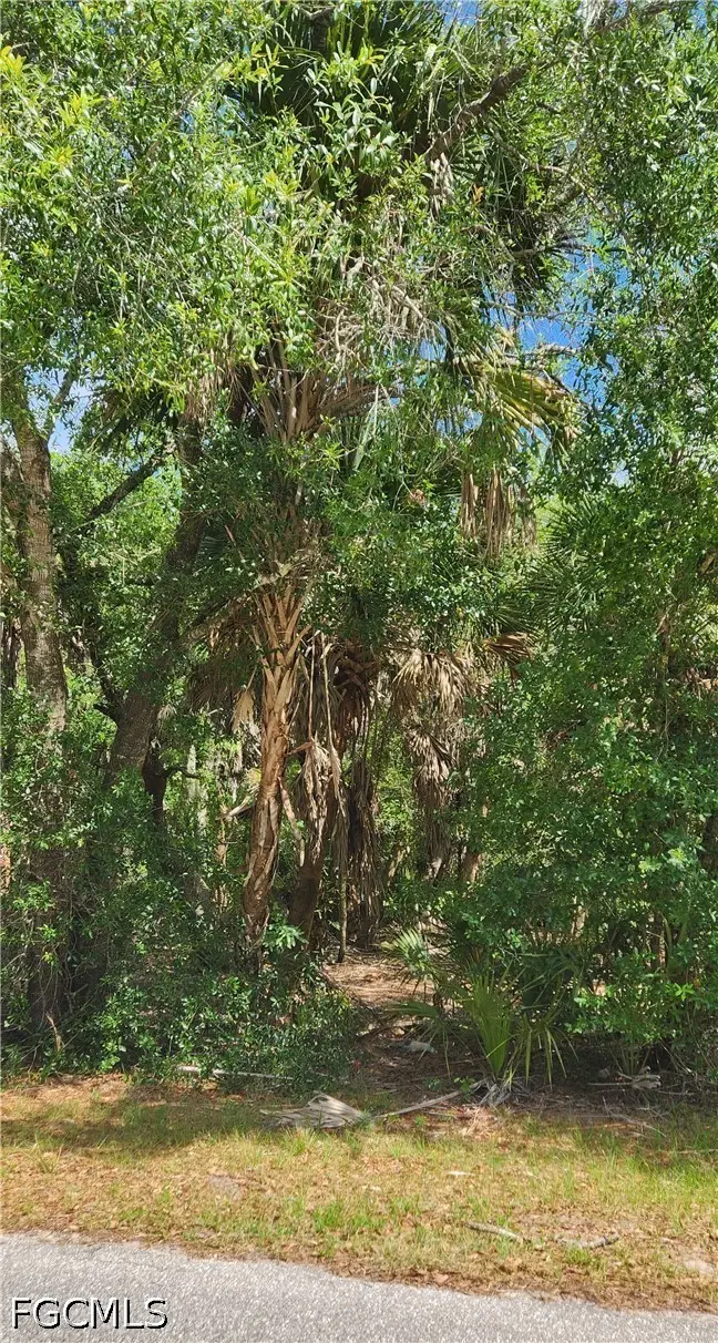 23190 Glen Avenue, Punta Gorda, FL 33980 - #2
