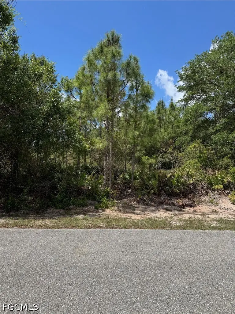 1507 Euclid Avenue, Lehigh Acres, FL 33972 - #2