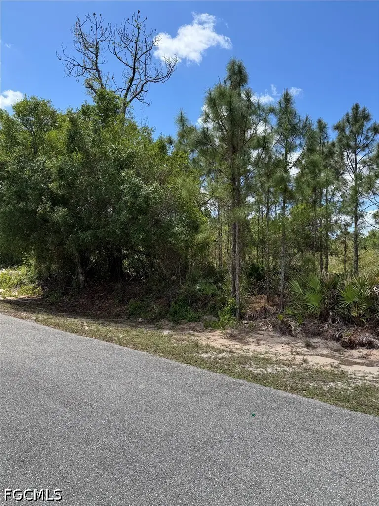 1507 Euclid Avenue, Lehigh Acres, FL 33972 - #3