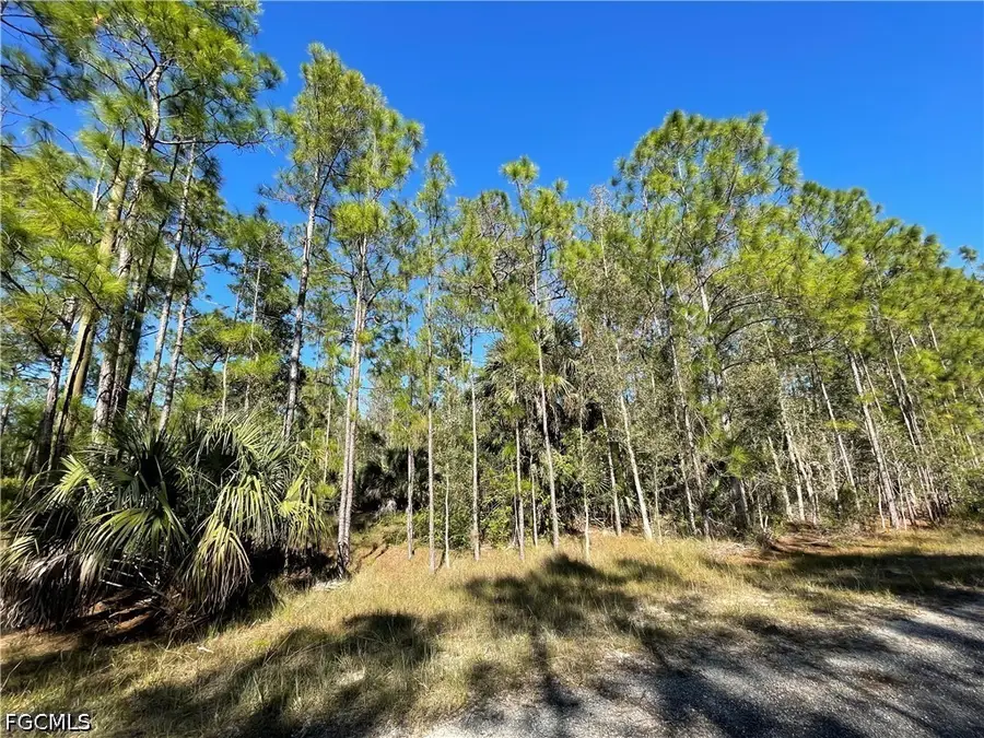 308 Rosanna Avenue, Lehigh Acres, FL 33972 - #2