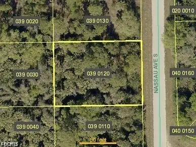 144 Nassau Avenue, Lehigh Acres, FL 33974 - #1