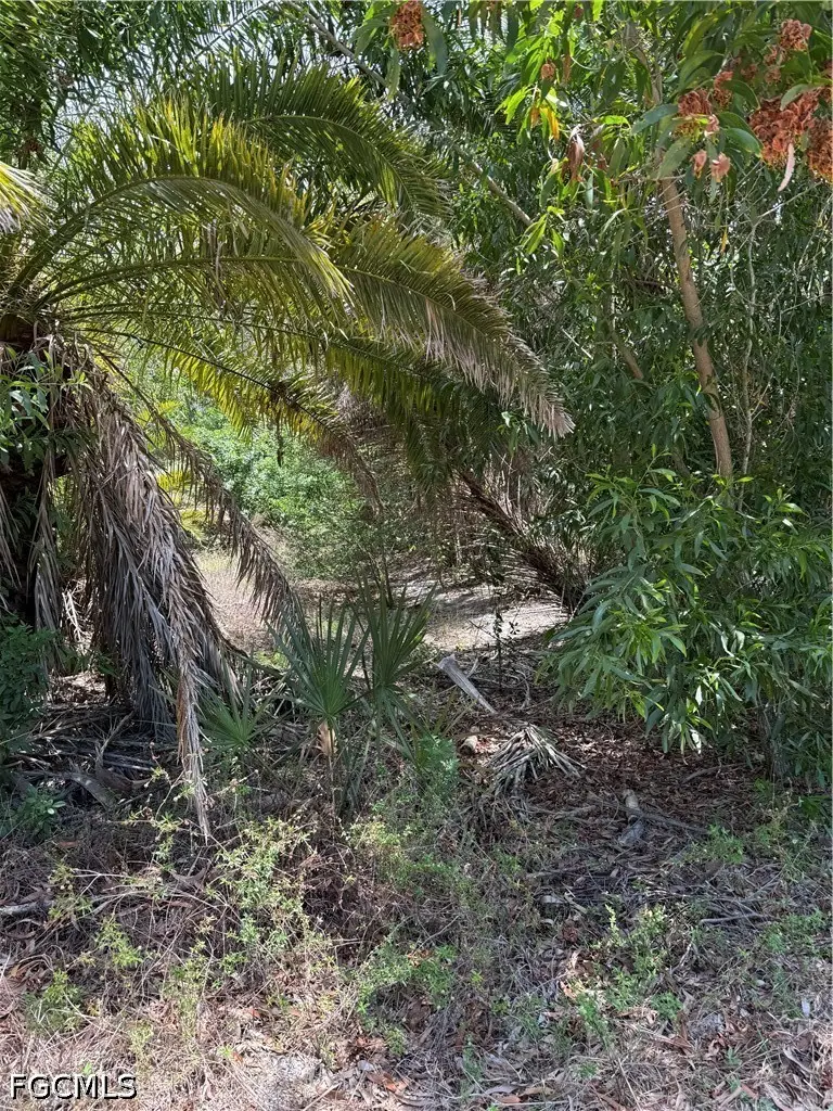 15870 Quail Trail, Bokeelia, FL 33922 - #3