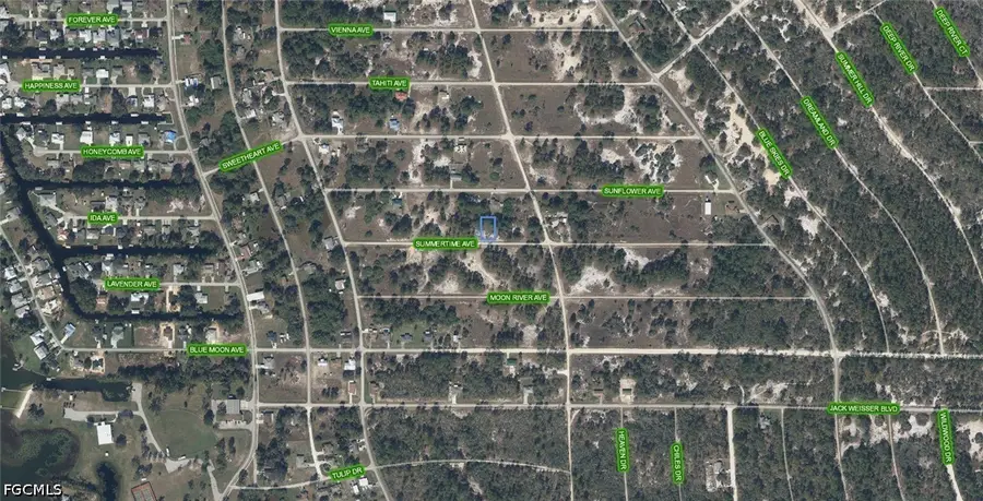 268 Summertime Avenue, Lake Placid, FL 33852 - #2