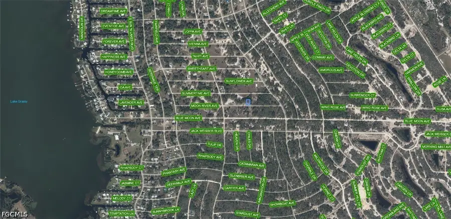 279 Summertime Avenue, Lake Placid, FL 33852 - #3