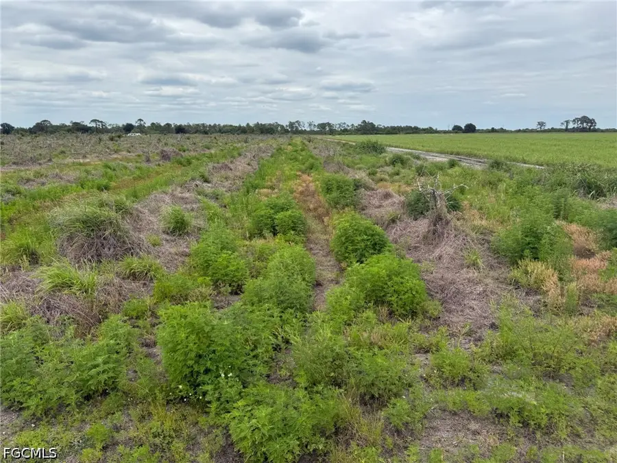 7156 6th Rd Road, Labelle, FL 33935 - #2