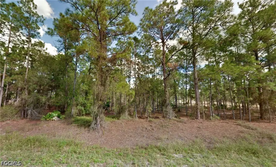 102 Irving Avenue, Lehigh Acres, FL 33936 - #2