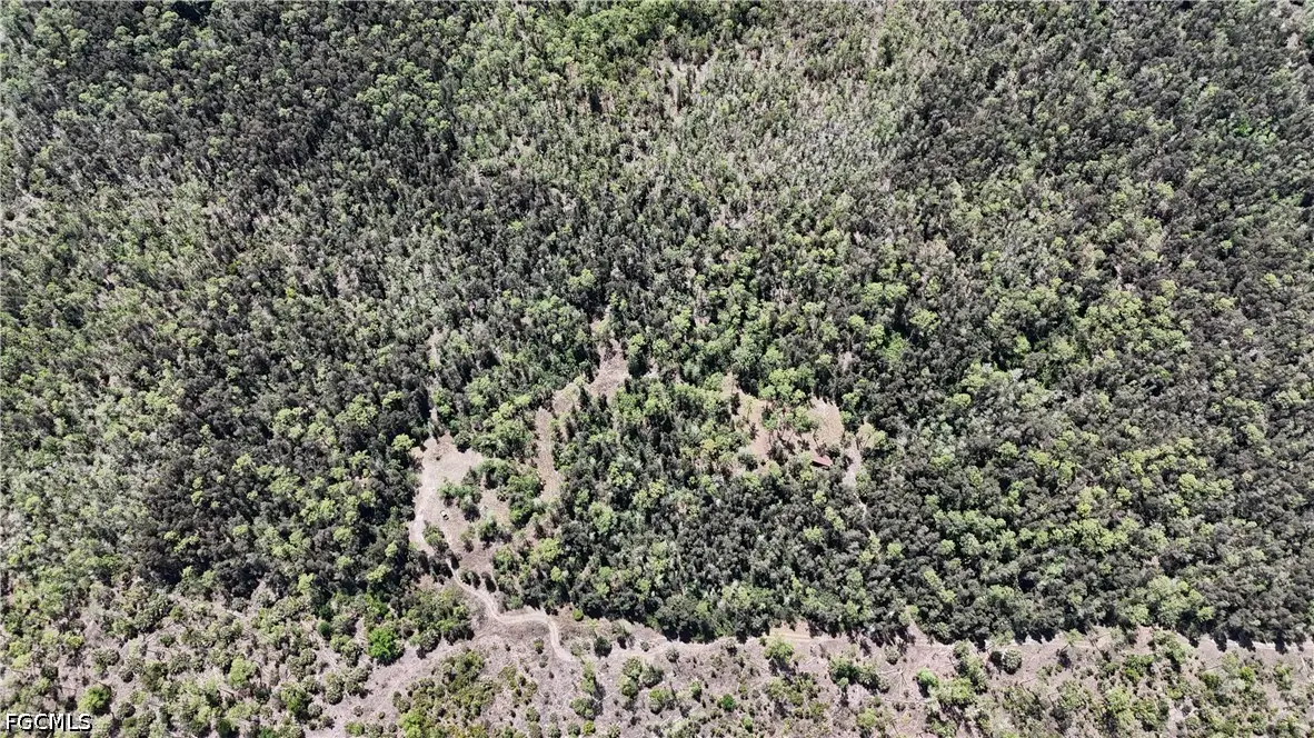 16840 Jozach Drive, Naples, FL 34120 - #1