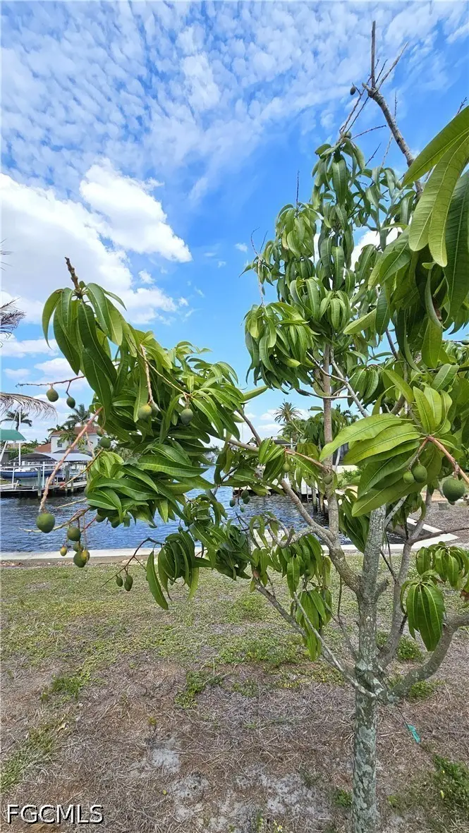 111 SW 58th Terrace, Cape Coral, FL 33914 - #3