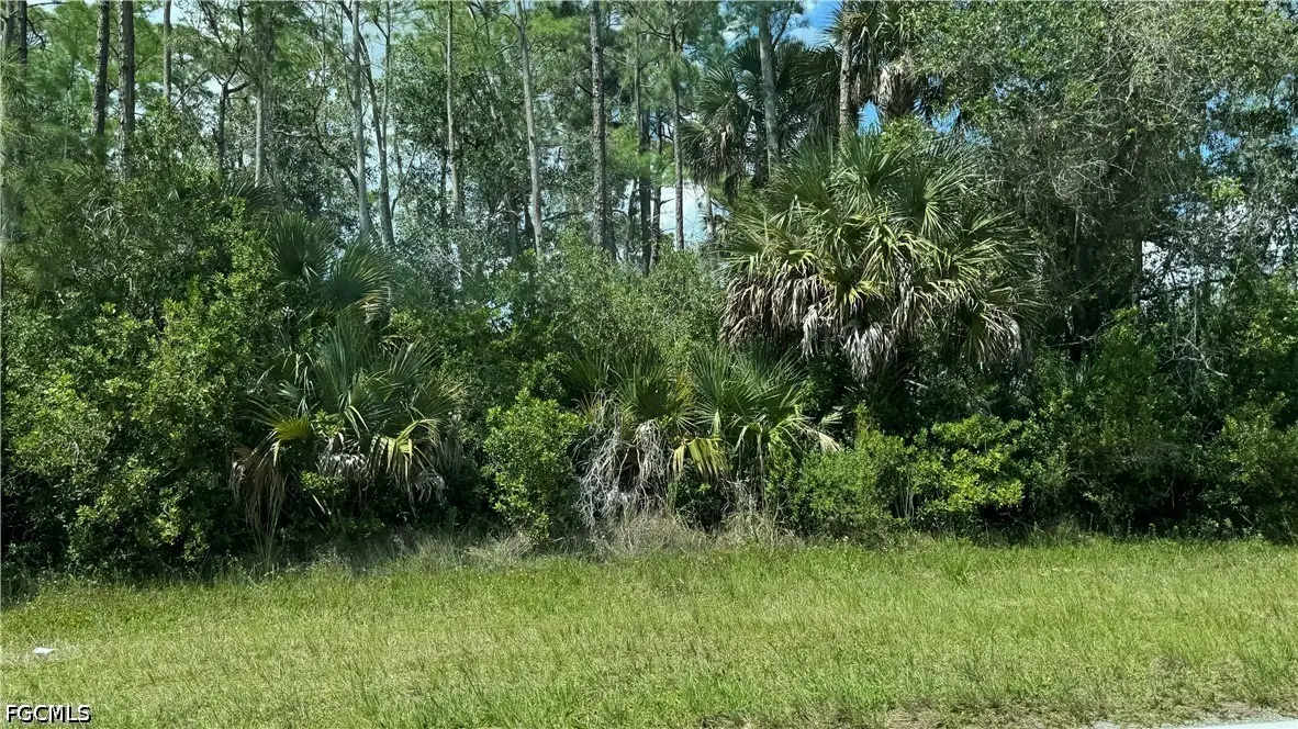 963 Lytle Street E, Lehigh Acres, FL 33974 - #1