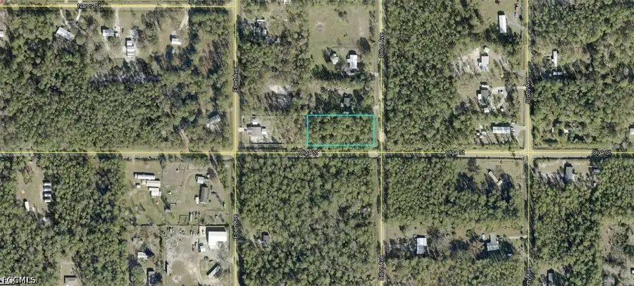 10065 Dillon, Hastings, FL 32145 - #2