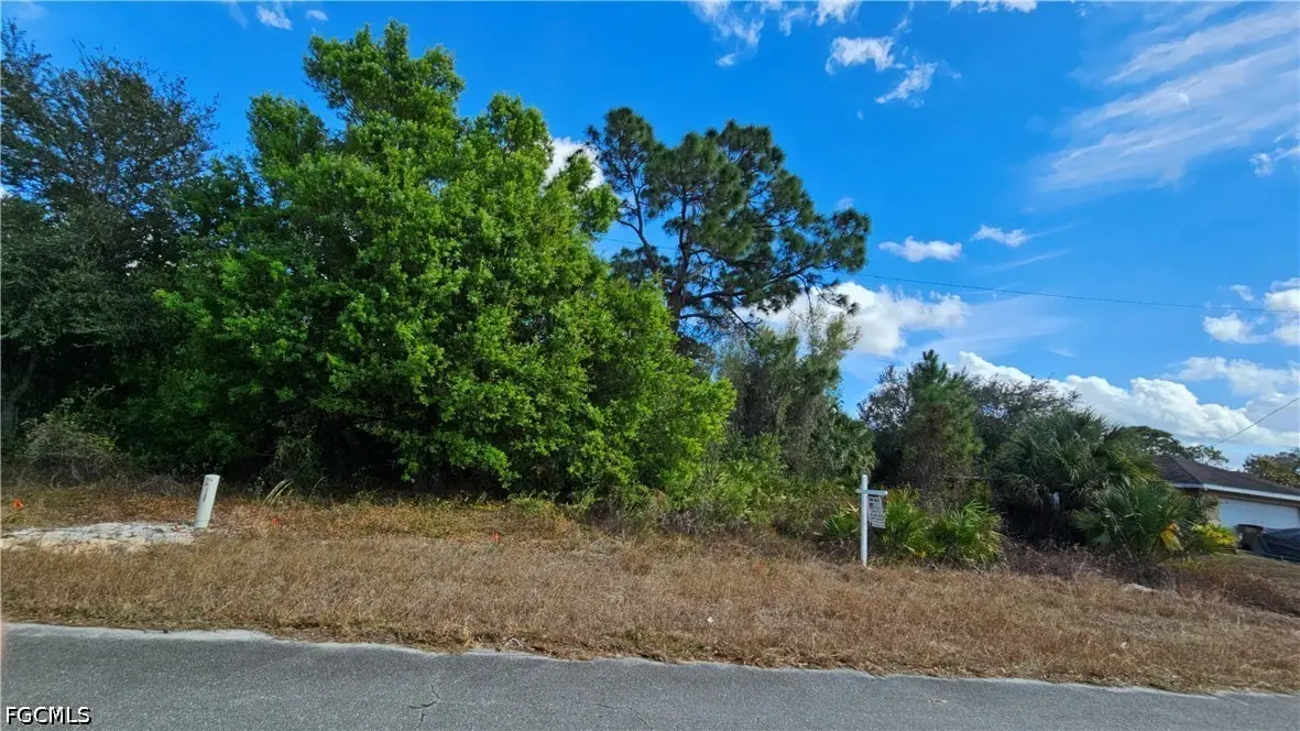 217 Narcissus Avenue S, Lehigh Acres, FL 33974 - #1