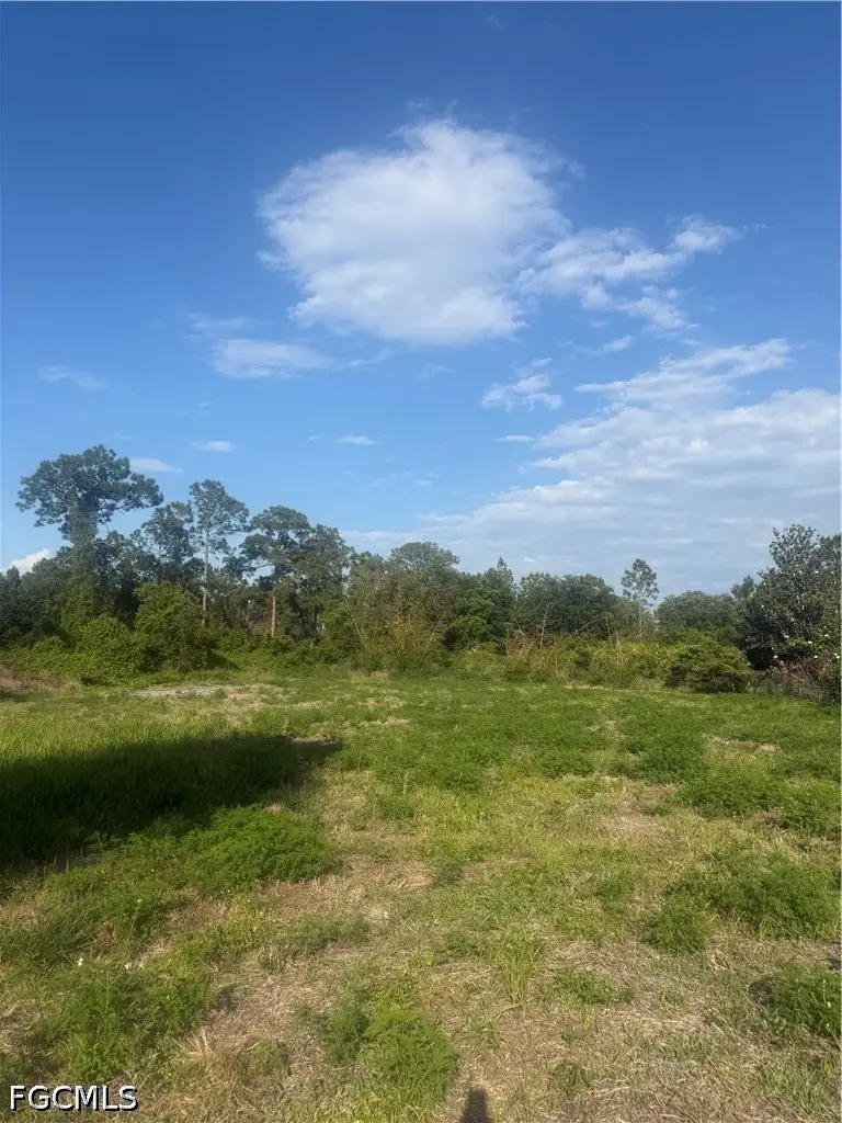 322 Wellington Avenue, Lehigh Acres, FL 33936 - #3