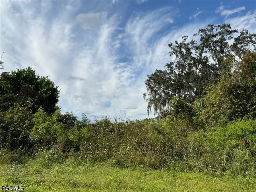 1445 S Florida Avenue, Wauchula, FL 33873 - #2