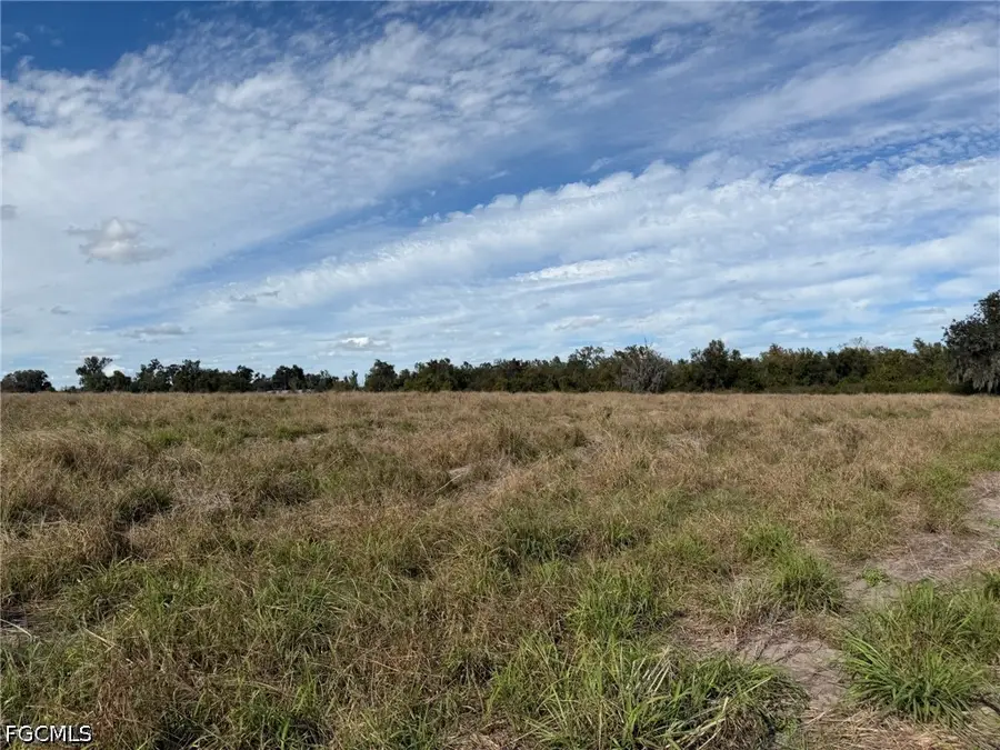 1445 S Florida Avenue, Wauchula, FL 33873 - #3