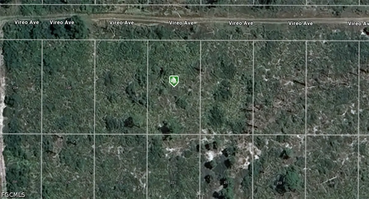 222 Vireo Avenue, Sebring, FL 33870 - #1