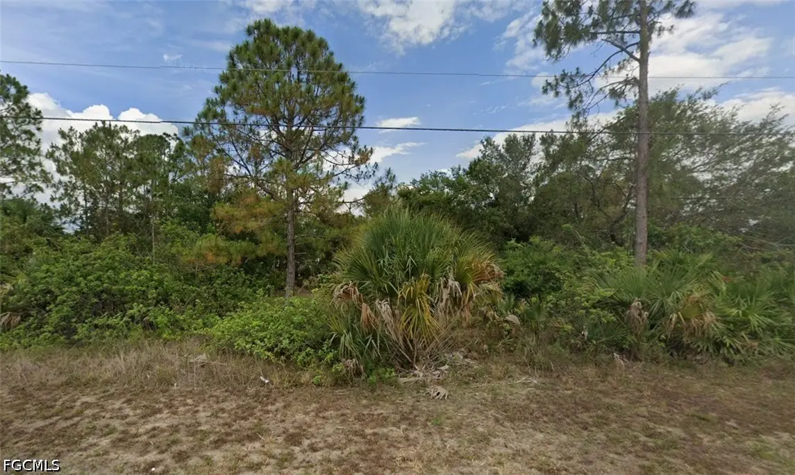 2412 Carlton Avenue N, Lehigh Acres, FL 33971 - #1
