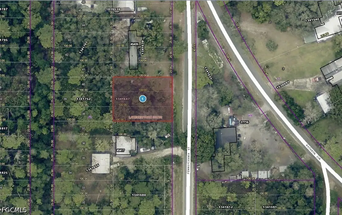 15-17-28-0100-021-00900 Pennsylvania Street, Paisley, FL 32767 - #1