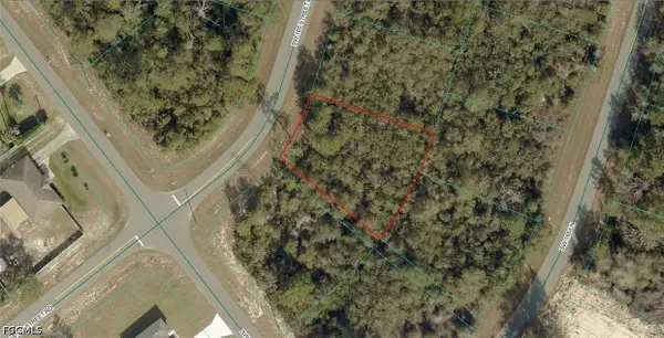 8004-0491-07 SW 165 Street Road, Ocala, FL 34473