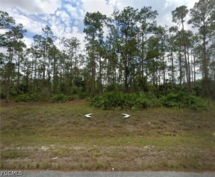 802 Sheldon Avenue, Lehigh Acres, FL 33936 - #1