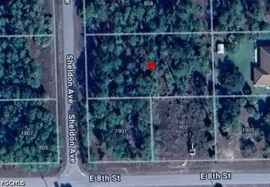 802 Sheldon Avenue, Lehigh Acres, FL 33936 - #2