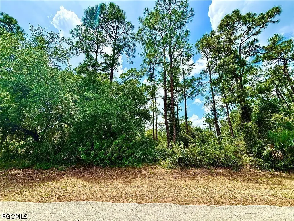 205 Robert Avenue, Lehigh Acres, FL 33936 - #1