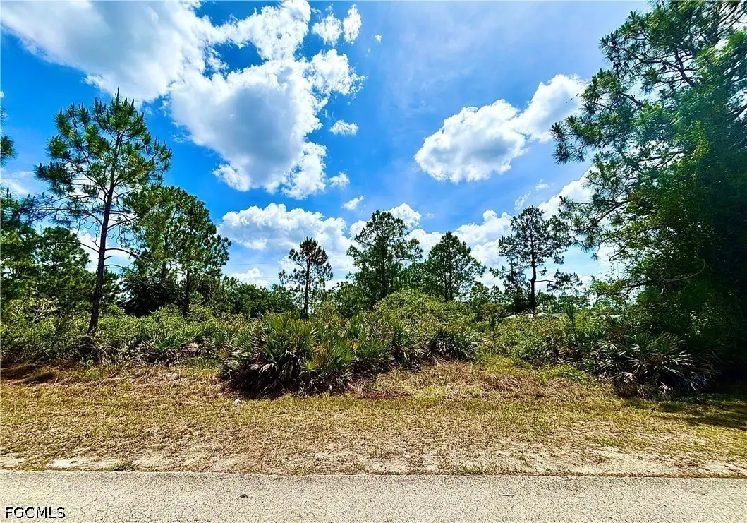 1620 Hibiscus Avenue, Lehigh Acres, FL 33972 - #1